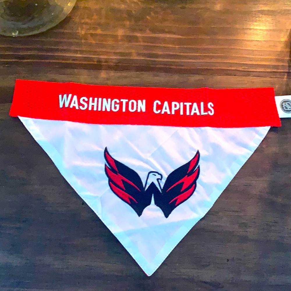 Capitals Dog Bandana - Reversible!